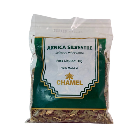 Chá de Arnica Silvestre Chamel (Solidago microglossa) Erva Selecionada – 30g